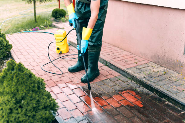 Animal Enclosure Cleaning in Blackstone, VA